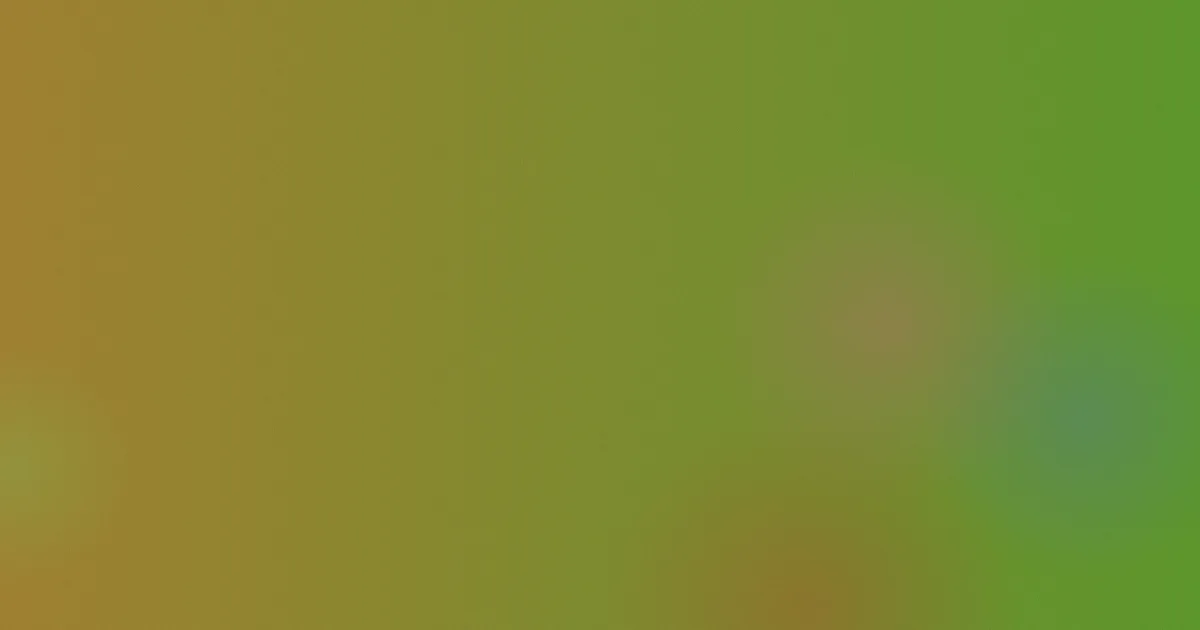 av免费看网站是什么